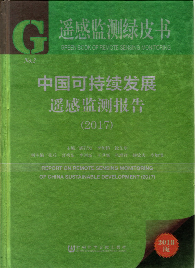 嗯嗯啊啊鸡巴太大了插进去了被干死了太粗了在线观看中国可持续发展遥感检测报告（2017）